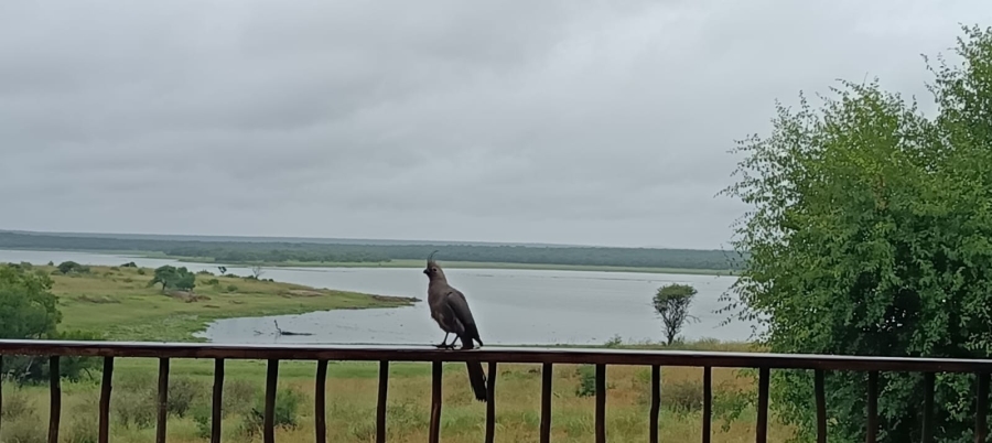 3 Bedroom Property for Sale in Vaalkop AH North West